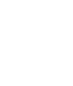 icone-map