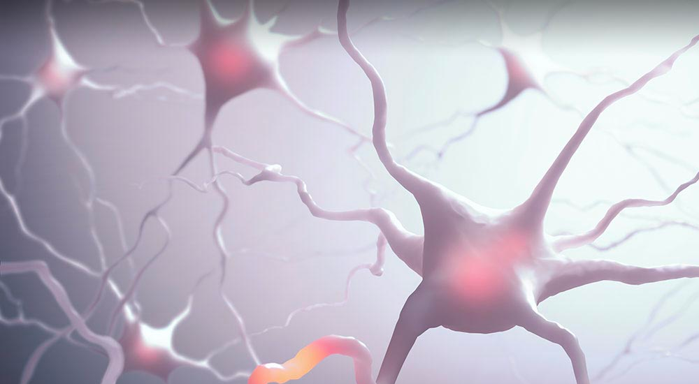 system nerveux central